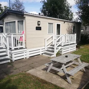  Campsite Narcissus United Kingdom